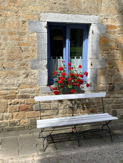 The bench with a garden view — a lovely spot to relax