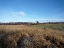 Les Fagnes