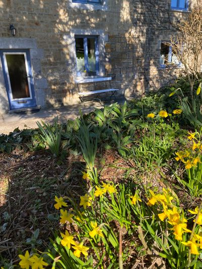 Small flower bed in front of the cottage