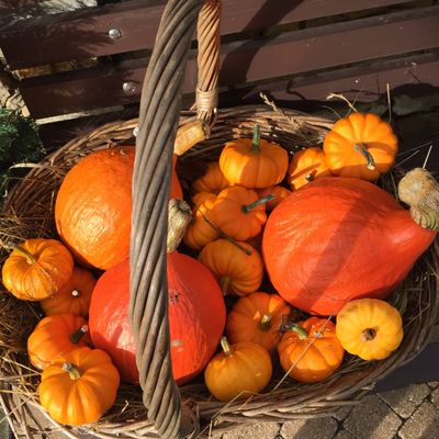 October pumpkins — life in tune with the seasons