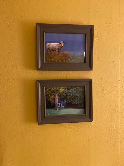 Décor inspired by the Ardennes landscapes you'll see on your walks