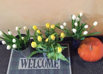 Welcome to our cottage
