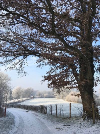 The surroundings of the cottage under snow — wonderful charm in winter. The walks are magnificent.